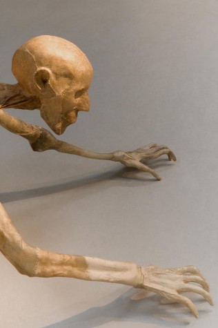 Carousel Image number 21