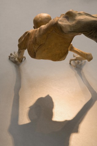 Carousel Image number 22