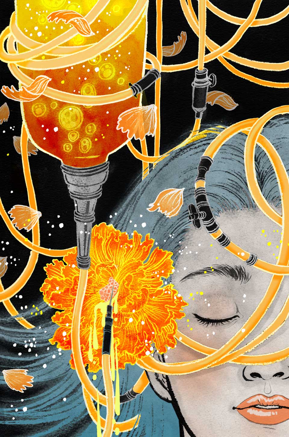 Carousel Image number 1
