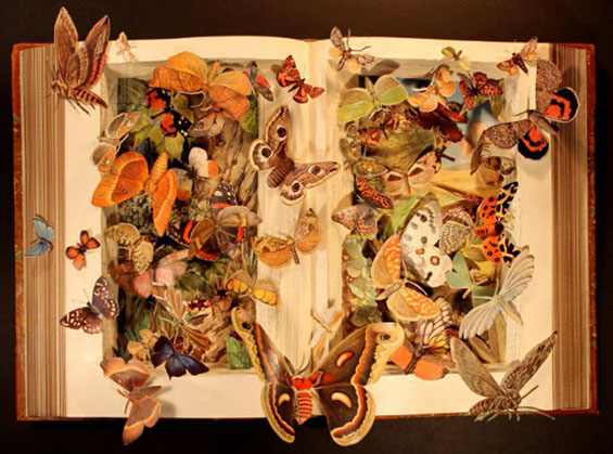 Carousel Image number 2
