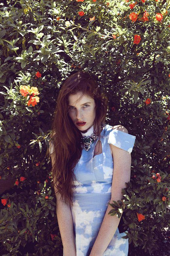 Carousel Image number 7
