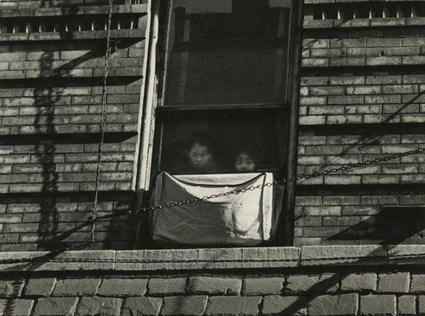 Carousel Image number 12