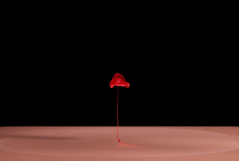 Carousel Image number 7