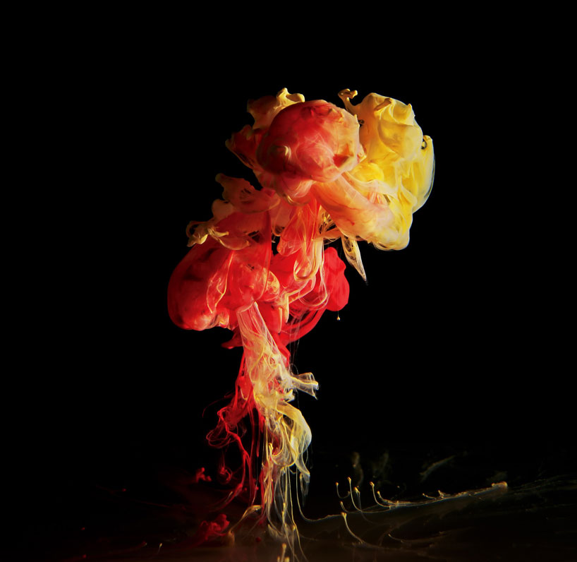 Carousel Image number 12