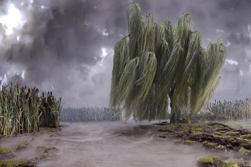 Carousel Image number 3