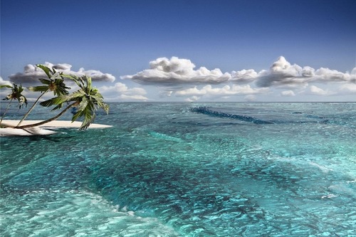 Carousel Image number 4