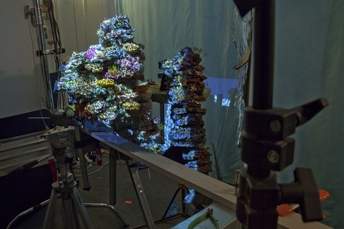 Carousel Image number 6