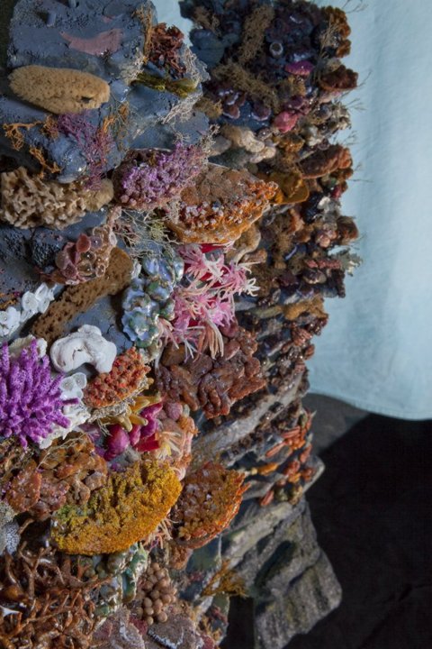 Carousel Image number 9