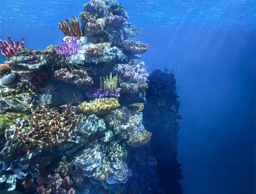 Carousel Image number 14