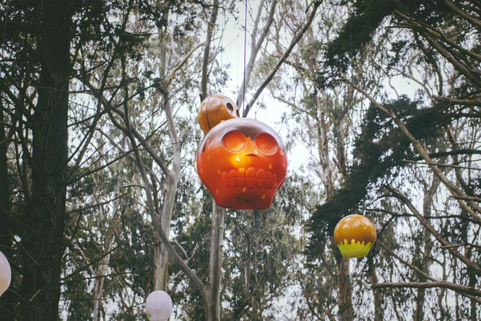 Carousel Image number 21