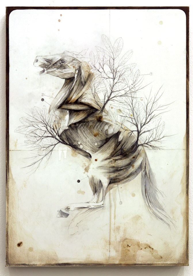 Carousel Image number 2