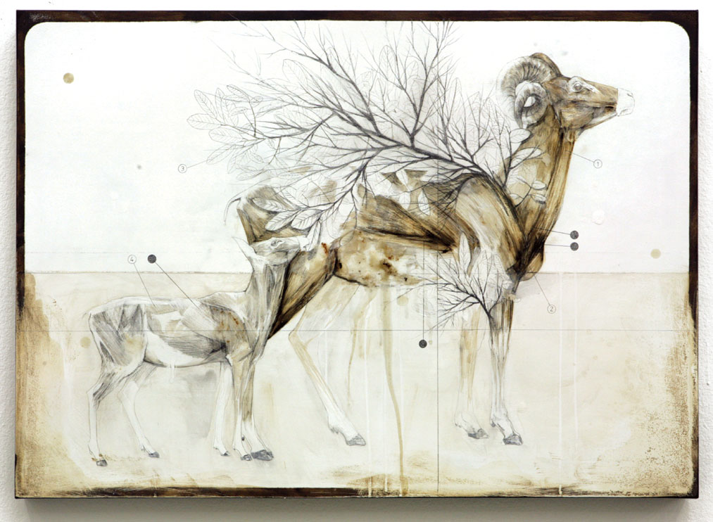 Carousel Image number 9