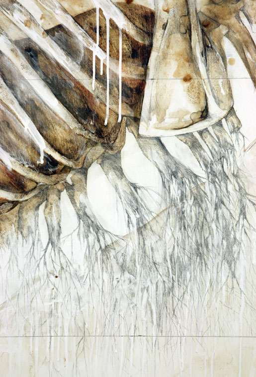 Carousel Image number 13