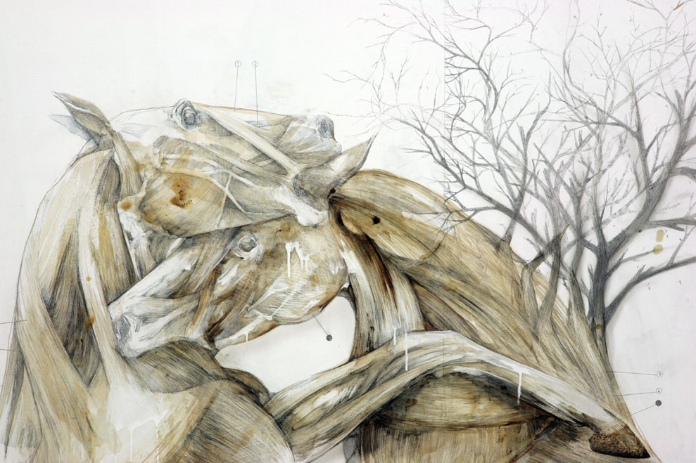 Carousel Image number 21