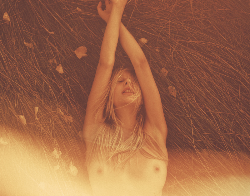 Carousel Image number 3