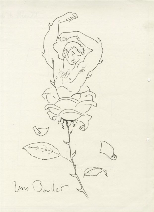 Carousel Image number 7