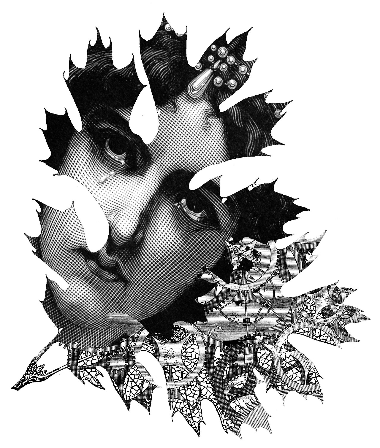 Carousel Image number 8