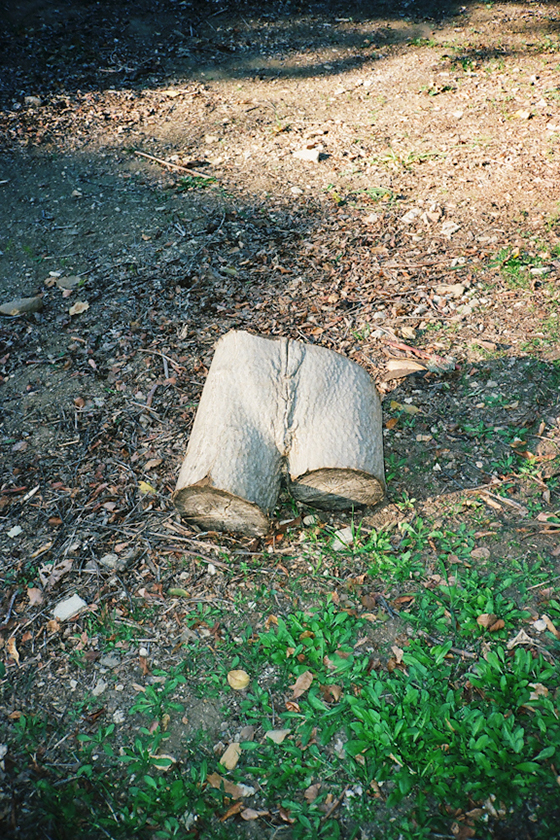 Carousel Image number 8