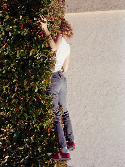 Carousel Image number 12