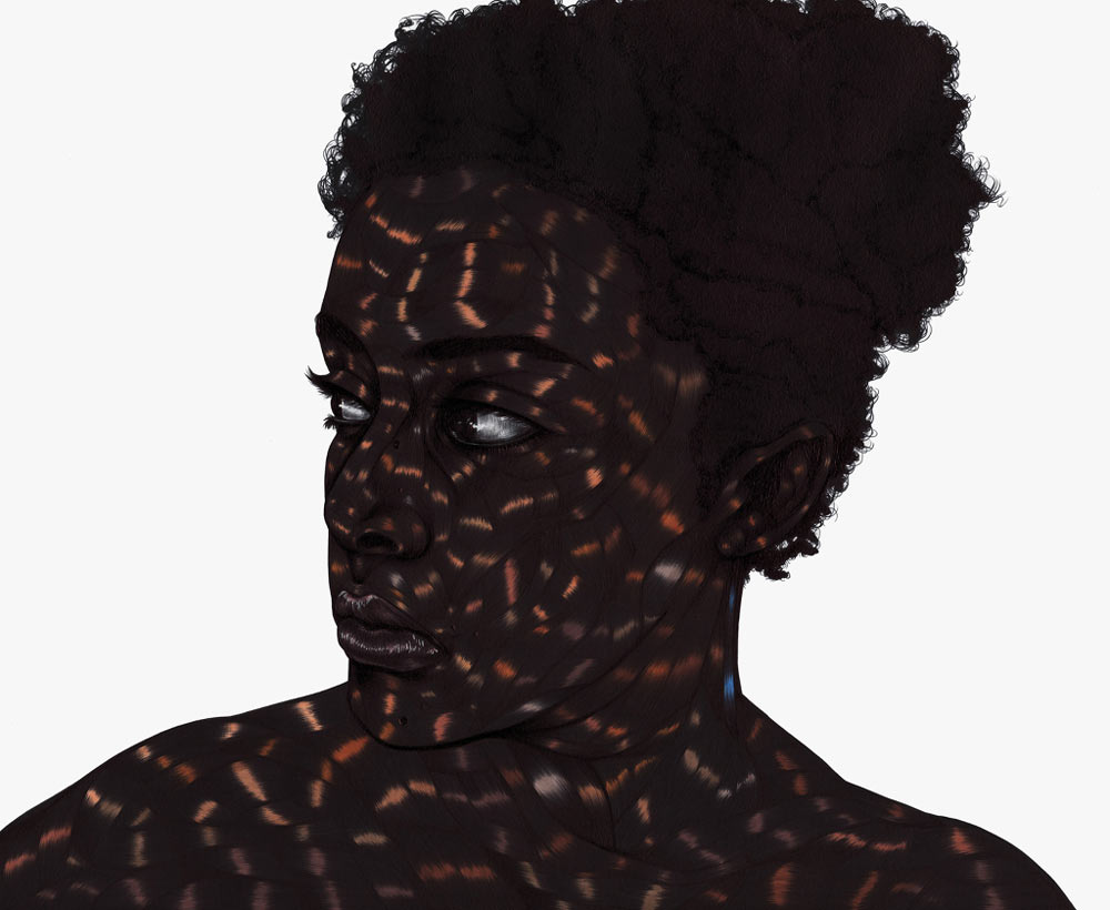 Carousel Image number 16