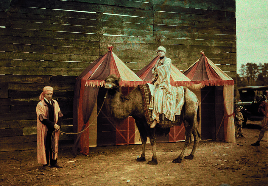 A dromedary camel and rider in the peach blossom festival in Fort Valley, Georgia, May 1925. Photograph by Jacob J. Gayer, National Geographic