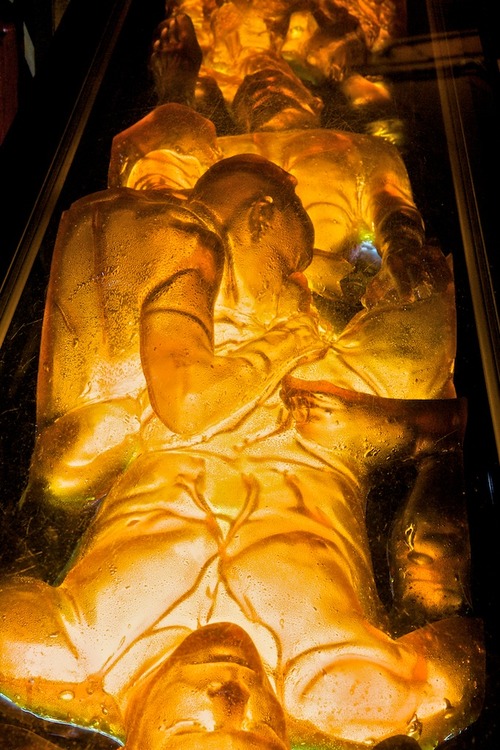 Carousel Image number 7