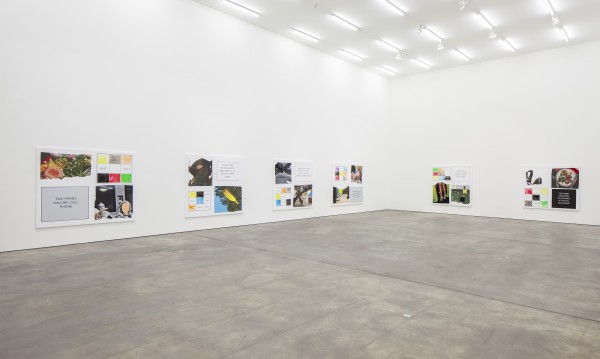 Carousel Image number 8