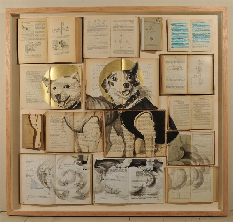 Carousel Image number 12