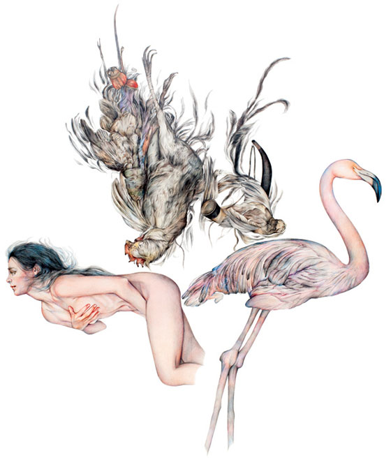 Carousel Image number 1