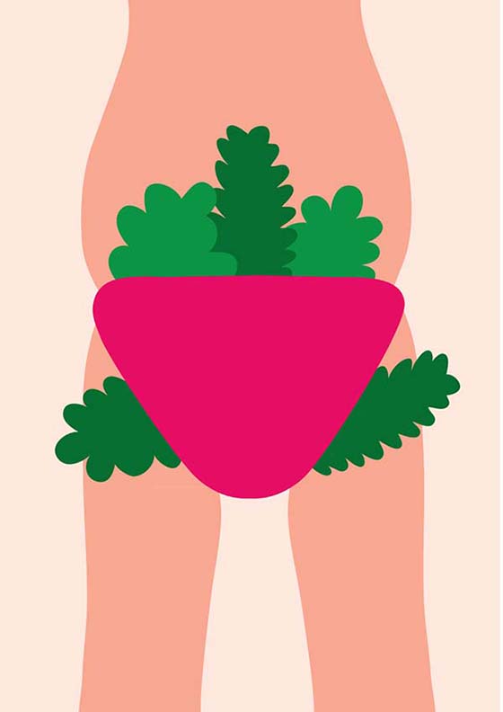 Carousel Image number 6