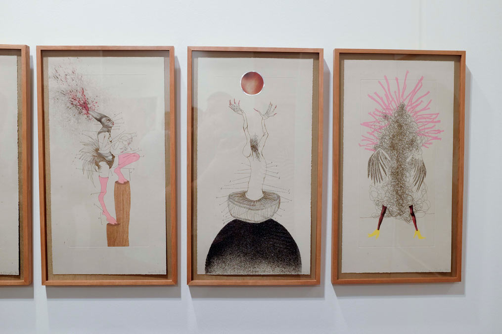 Carousel Image number 12