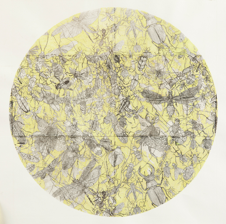 Carousel Image number 1