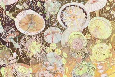 Carousel Image number 4