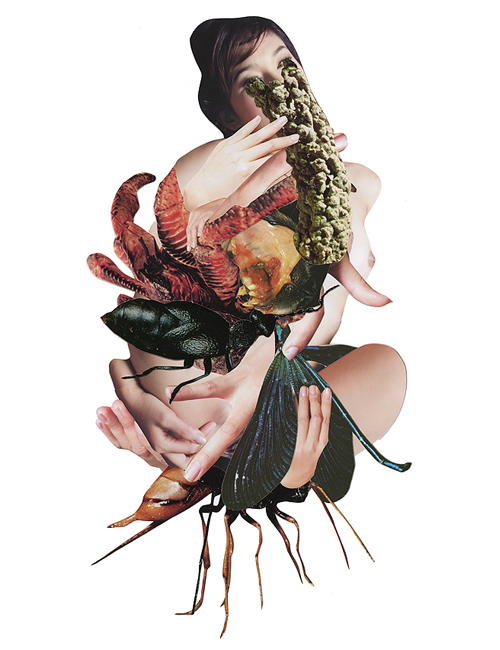 Carousel Image number 5