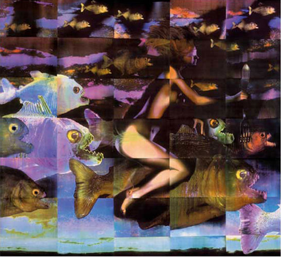 Carousel Image number 13
