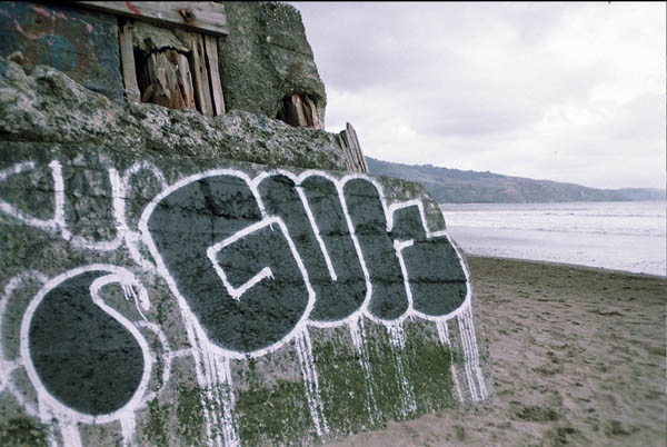 Carousel Image number 24