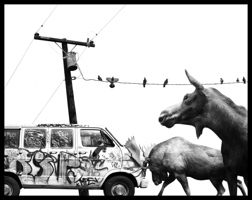 Carousel Image number 28