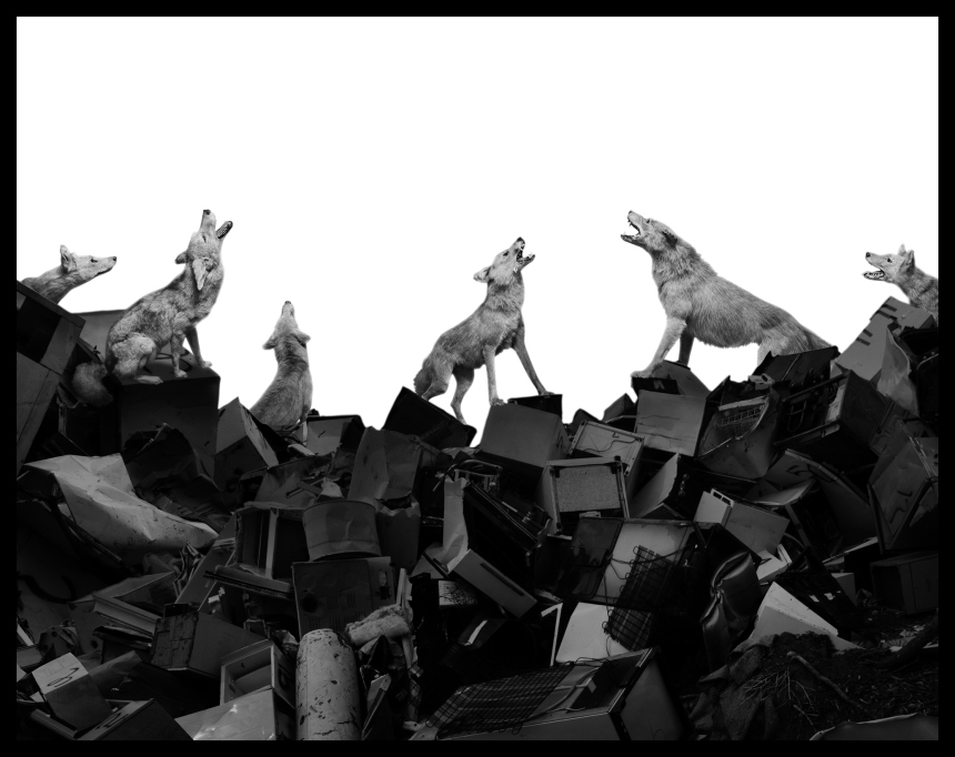 Carousel Image number 29
