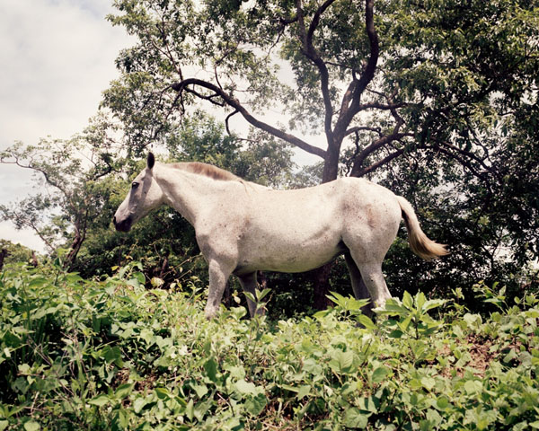 Carousel Image number 4