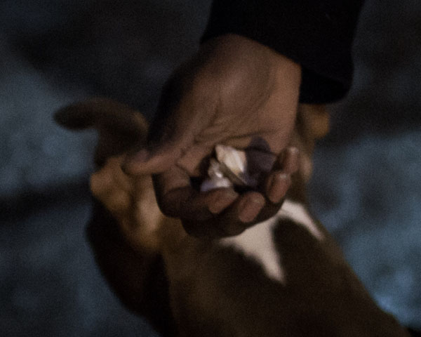 Carousel Image number 5