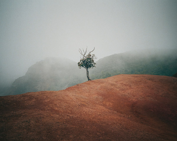 Carousel Image number 9