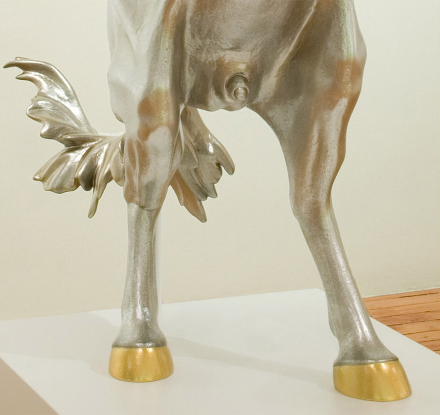 Carousel Image number 14