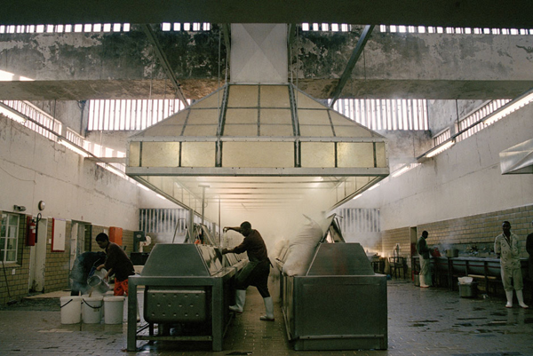 Carousel Image number 9