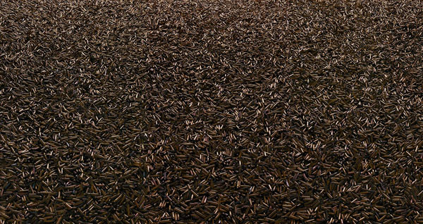 Carousel Image number 5