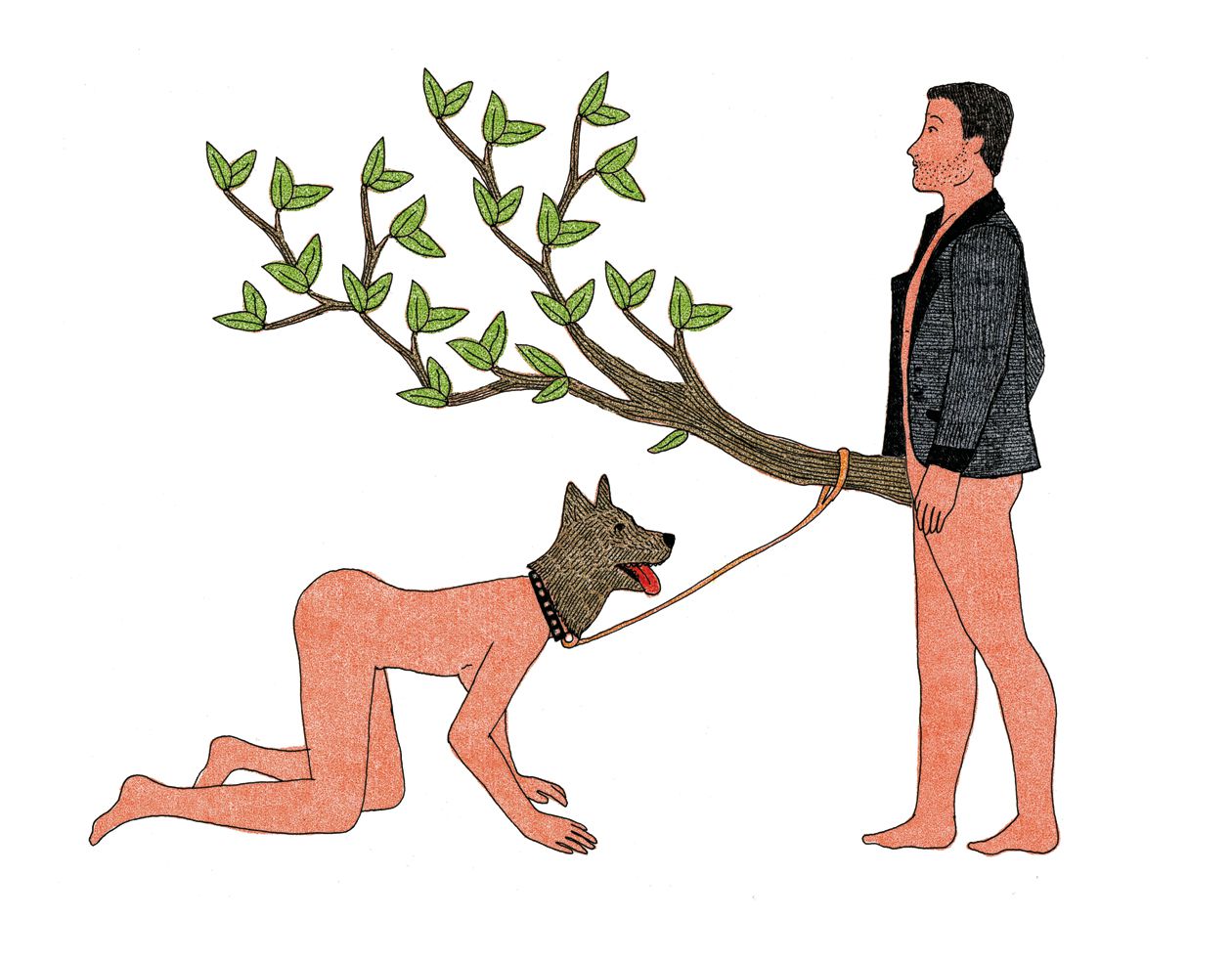 Carousel Image number 13