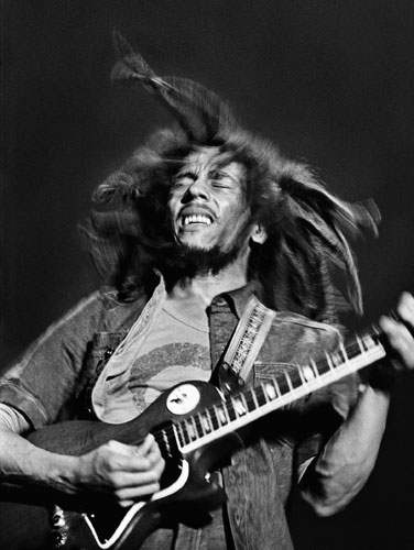 Carousel Image number 5