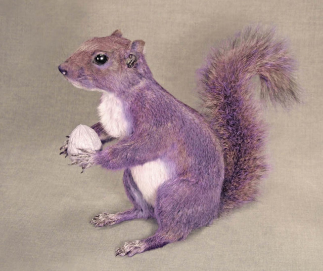 Sarina Brewer, Purple Squirrel