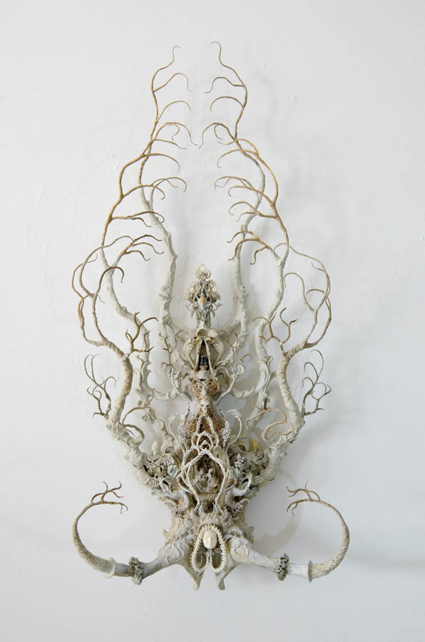 Laurie Hassold, What the Tree Remembers
