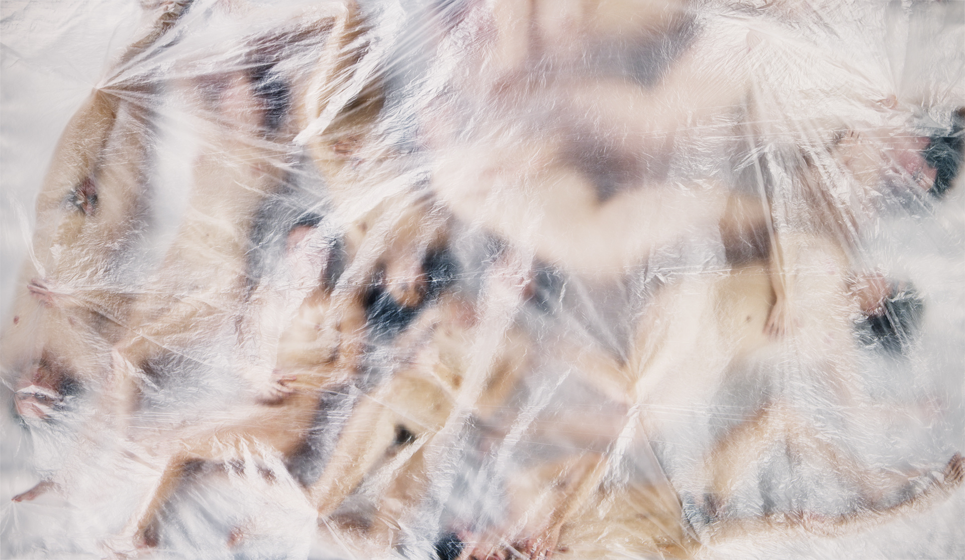 Carousel Image number 3