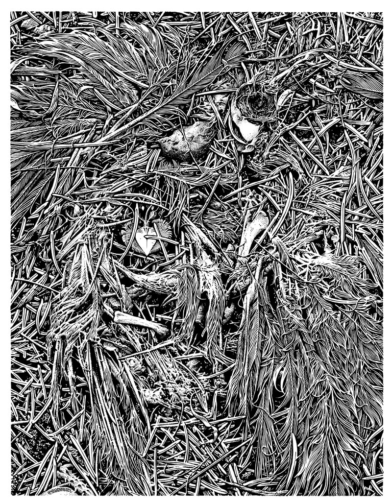 Carousel Image number 5